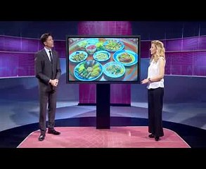 İngilizce Dersleri - 1.Dönem  Ders: 13