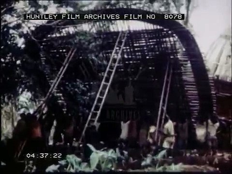 Cameroon, (formerly Cameroun), Africa, 1950's Film 8078