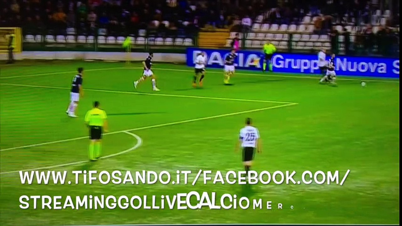 PRO VIC 1 1