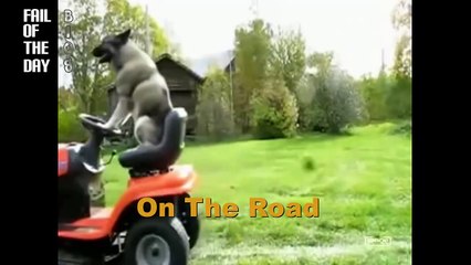 FAIL WIN Compilation  On The Road 2012  [FDB™】 ☠