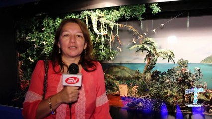 Guayaquil es mi destino para conocer sus museos