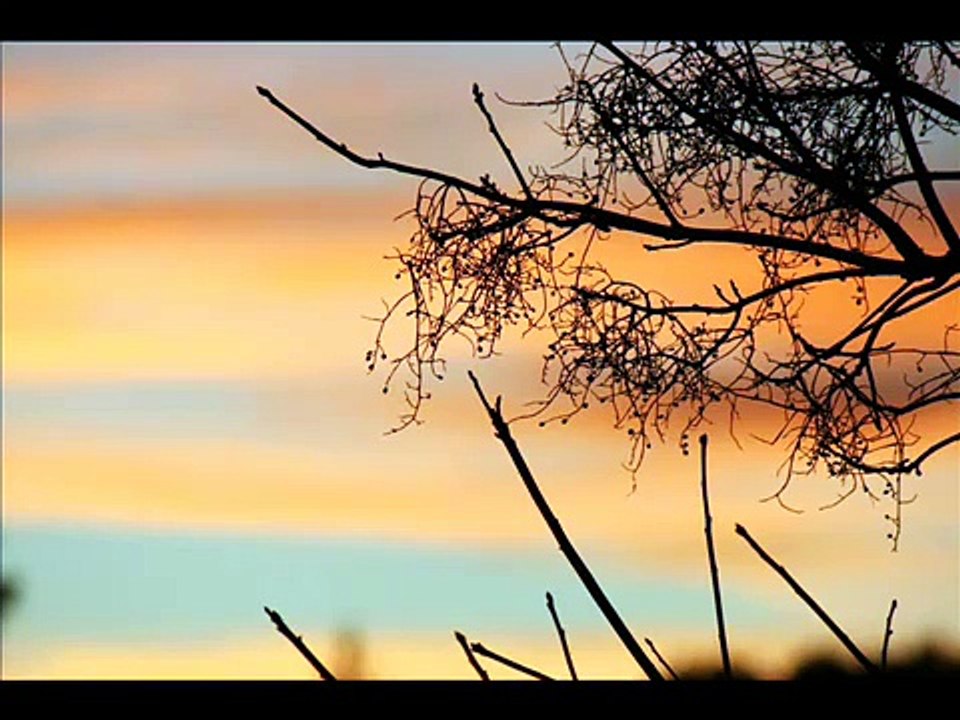 Orange Sky Alexi Murdoch