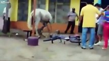 pit bull attacks and mauls horse in granada