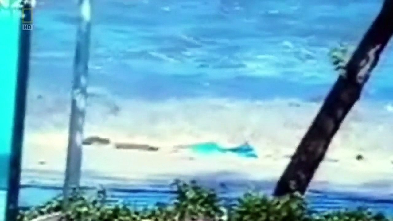 Czysta Nauka Ostrzec Przed Tsunami PL Dokument