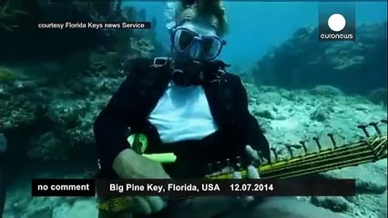 Underwater Concert In Florida - no comment