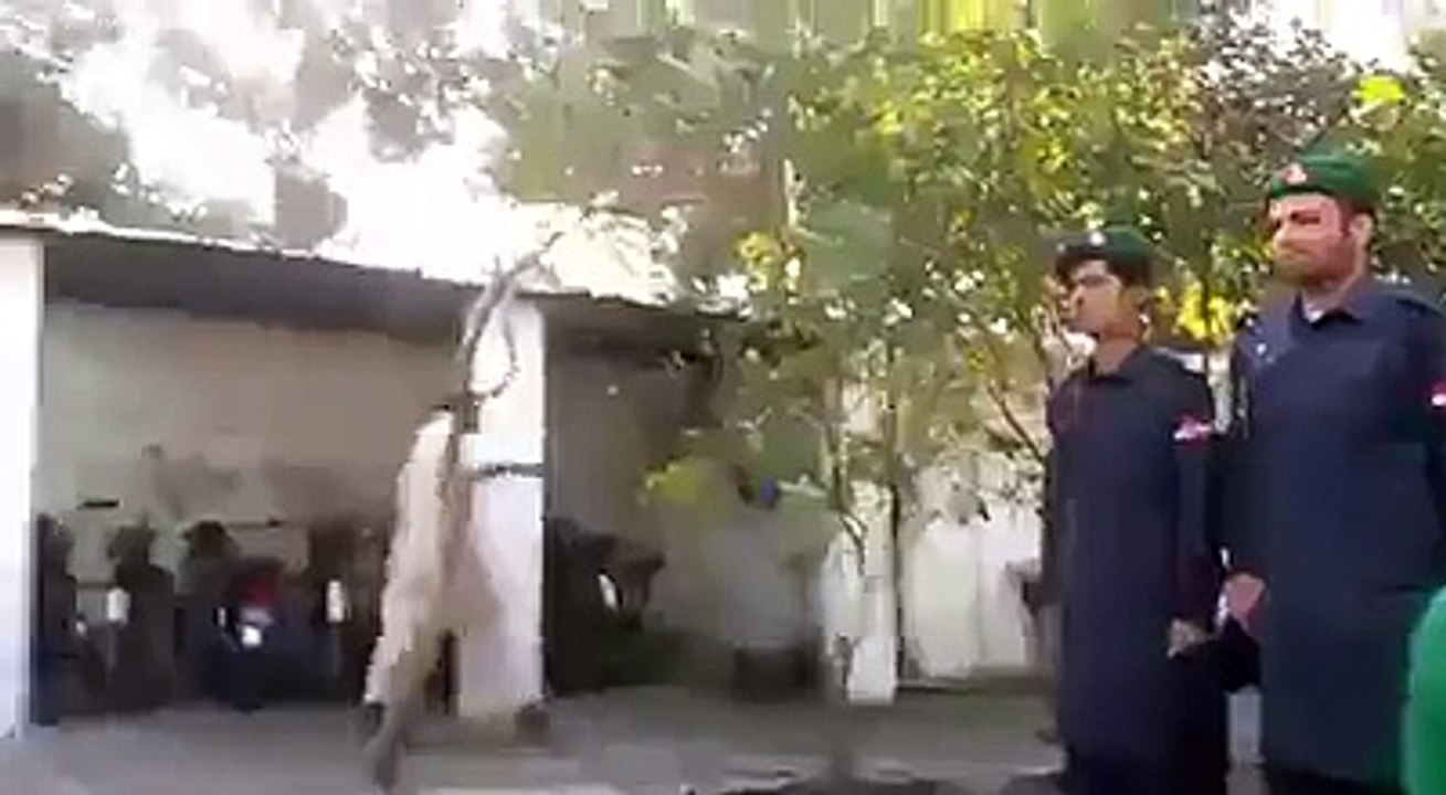 It will make u laugh for sure