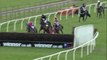 Jockey falls off his horse during race, does spectacular frontflip over hurdle