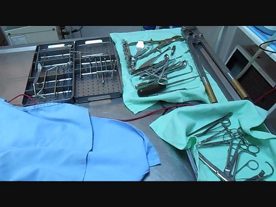 ADANA �DA KANGAL ÇOBAN KÖPEĞİ BACAK KEMİĞİ KIRIĞI AMELİYATI