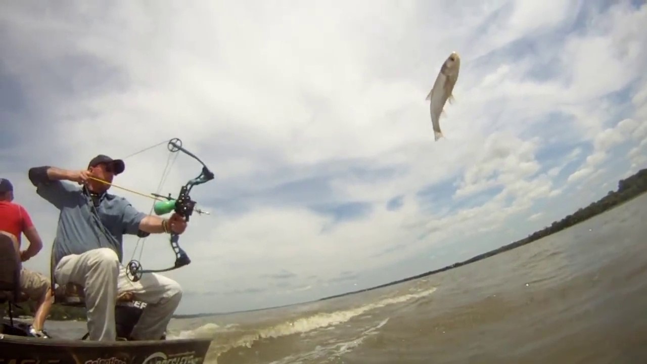 Fish Hunting