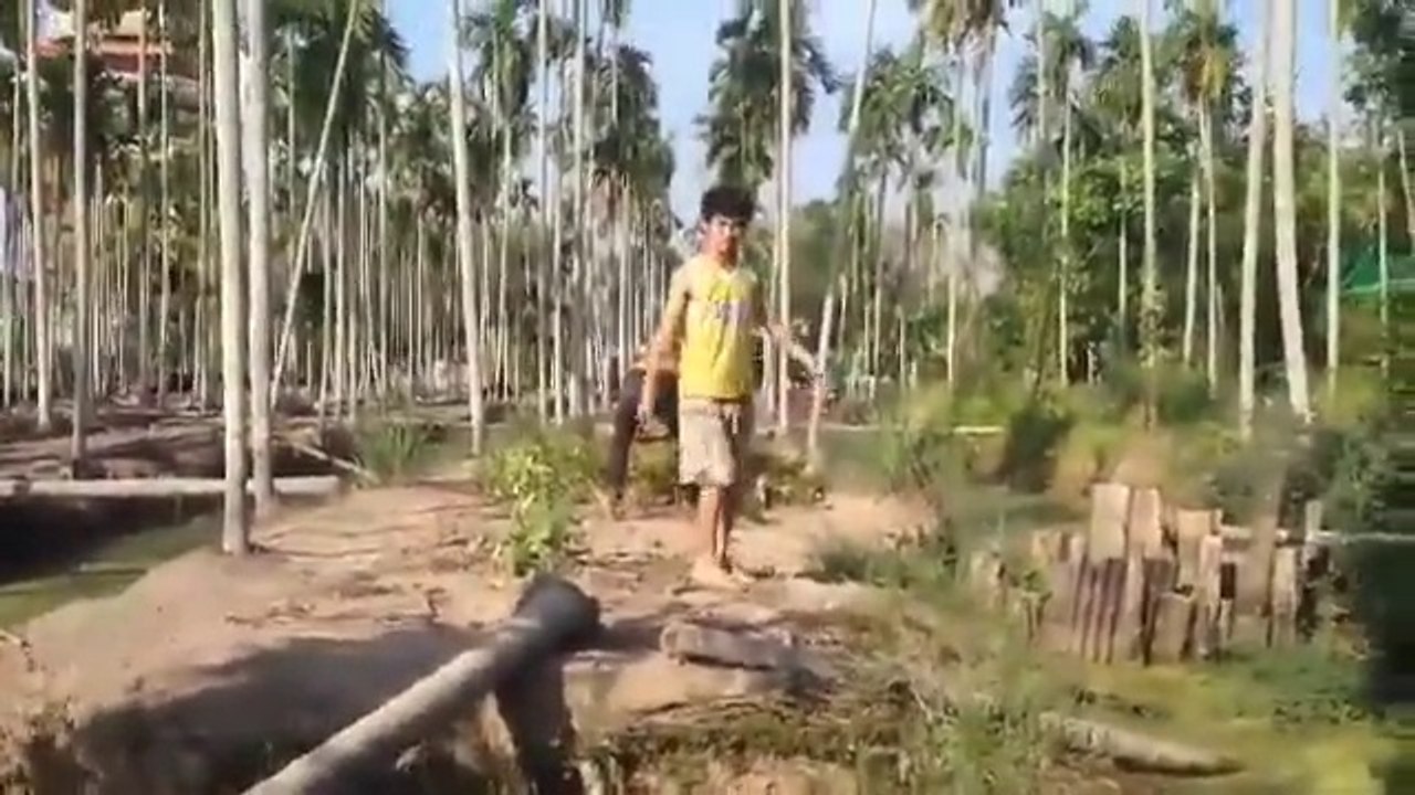 Jaisa Karo Gay Waisa Bharo Gay