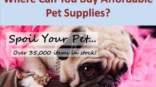 How to Find and Purchase Best Pet Supplies in Australia?