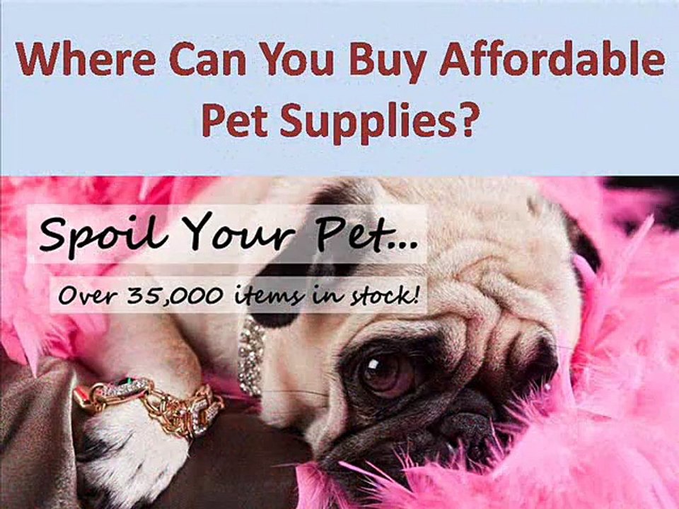 How to Find and Purchase Best Pet Supplies in Australia?