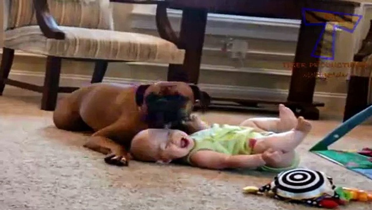Dogs are great babysitters and nannies - Cute dog & baby compilation