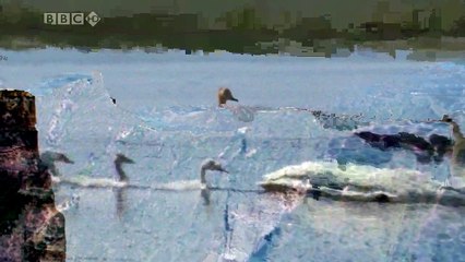 Dzikie Chiny Beyond The Great Wall  PL Dokument