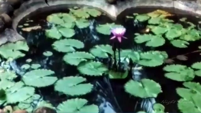 Latest 2015 Full Length | MantraSakti Telugu Movie Mallu Hot Scene | Telugu Scenes Full Length