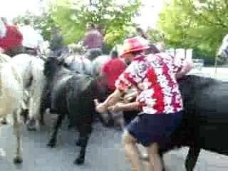 Fête Saturargues 2006