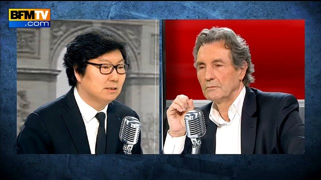 Placé: Je ne veux pas de scission à Europe Ecologie - Les Verts