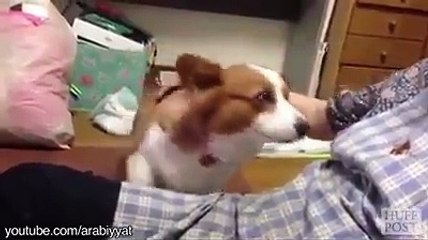 Nasıl Sevilmeleri Konusunda Taktik Veren Çok Bilmiş...