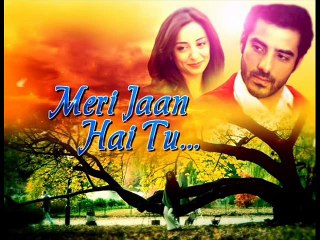 Meri Jaan Hai Tu OST Title Song | Cinekhabar