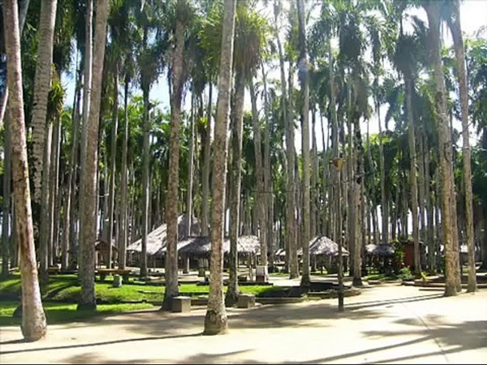 Paramaribo - Suriname