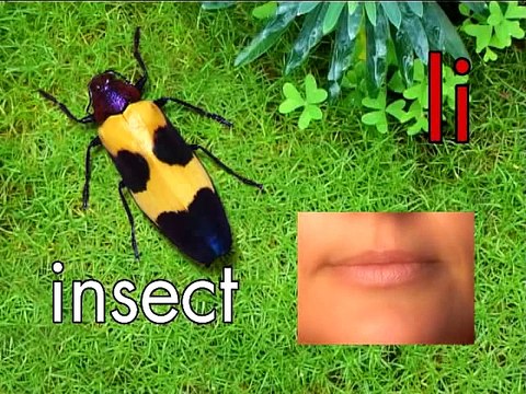 Learn ABC s with Nature - for babies, toddlers, infants & preschoolers