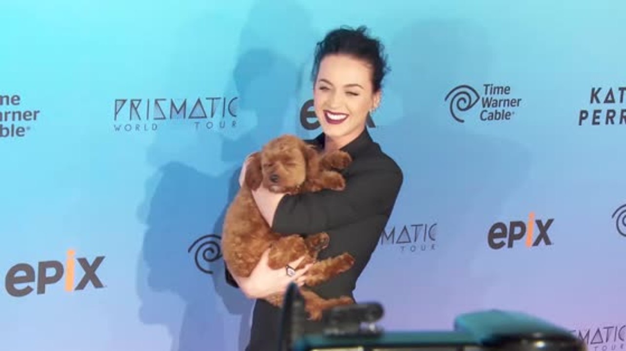 Katy Perry postete aus Versehen ihre Telefonnummer