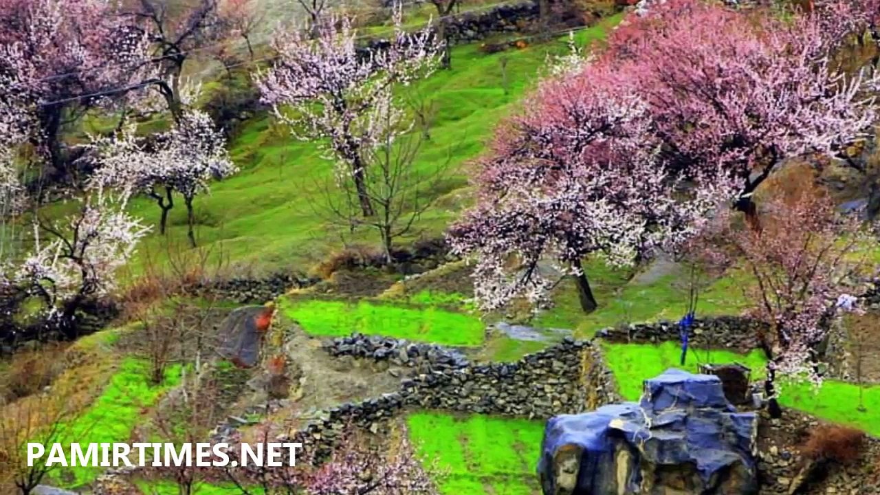 Spring Season in Gilgit Baltistan