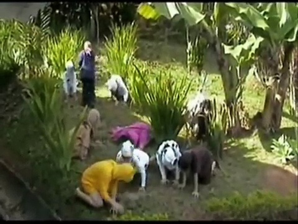 O segredo dos animais