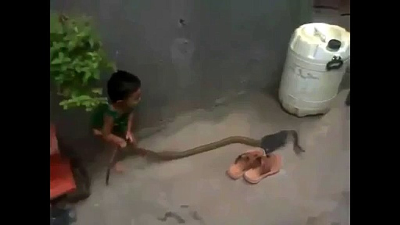 Kid playing with snake - Shocking