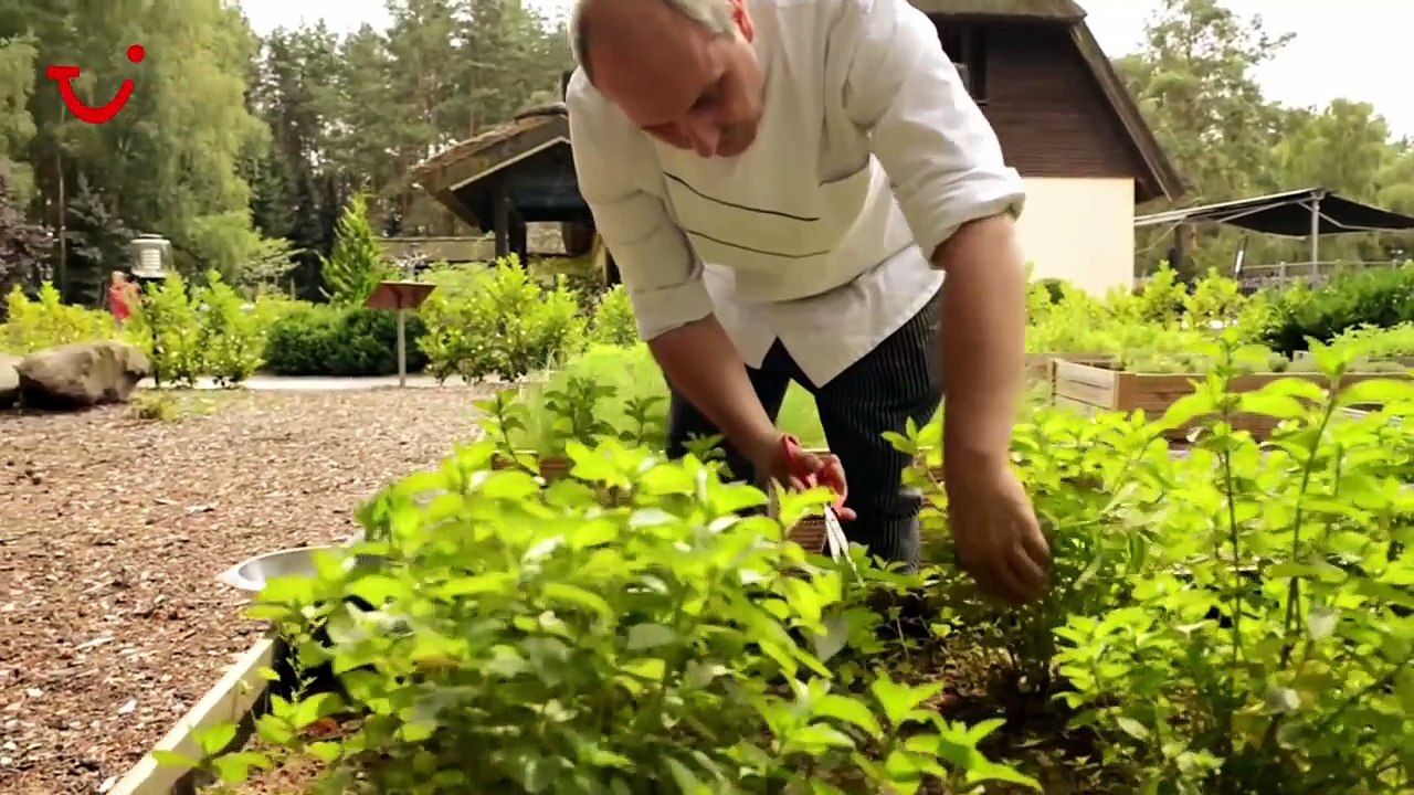 Viverde Van der Valk Naturresort Drewitz____, Deutschland