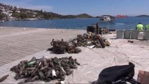 Bodrum Sosyete Plajından Tonla Çöp Çıktı