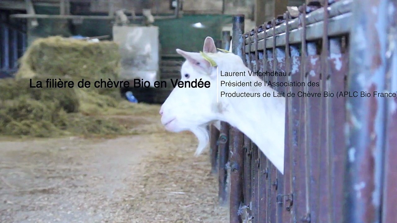 La filière chèvre bio