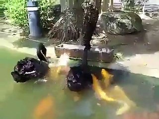 when you think you have see everthing!!!