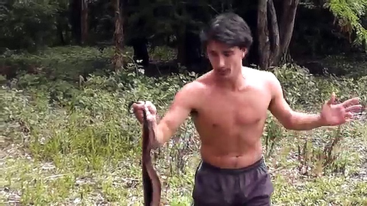 Catching Wild Rabbits using Snake