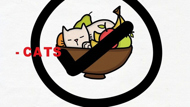 Whole Food Vitamins and Minerals Supplements