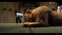 OMG!!! Lion Attacks Woman