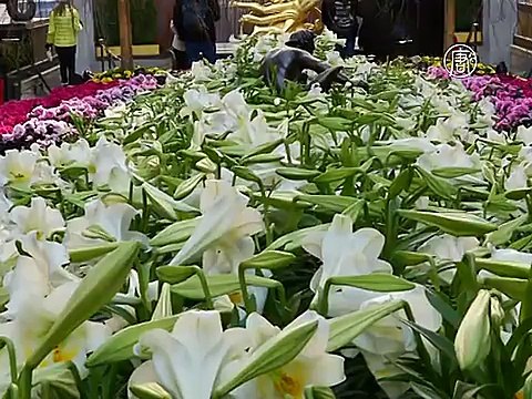 На Манхэттене установили пасхального кролика из цветов