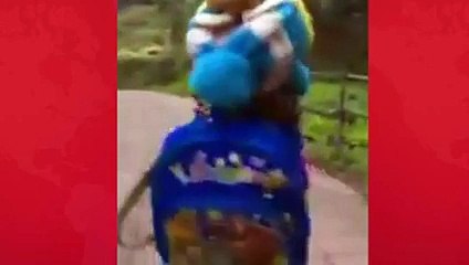 watch this funny derssing by this dogi cool.