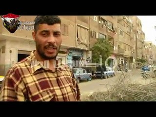 مذبحة الشجر بعين شمس