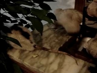 la rencontre insolite