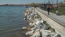 Ankara Su Seviyesi Yükselen Mogan Hayat Buldu