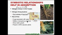 FSc Biology Book1, CH 14, LEC 2; Absorption in Roots
