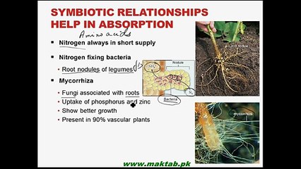 FSc Biology Book1, CH 14, LEC 2; Absorption in Roots