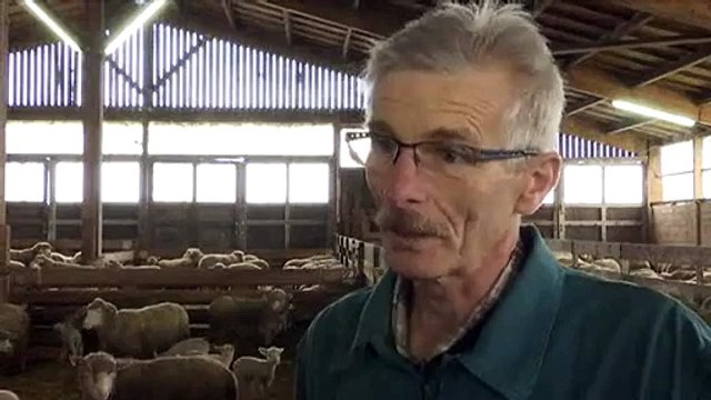 Les éleveurs d'ovins en Saône-et-Loire se préparent aux fêtes pascales