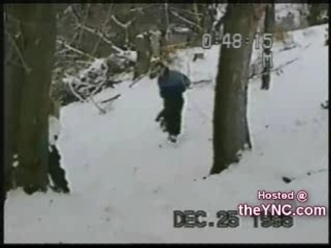 régis fait du ski... LOL