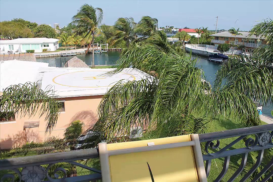 Binäre Optionen Forum mit seinen Mitgliedern in Miami Zusammenschnitt