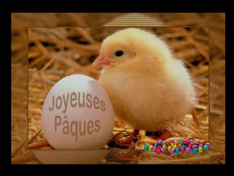 Joyeuses fêtes de Pâques