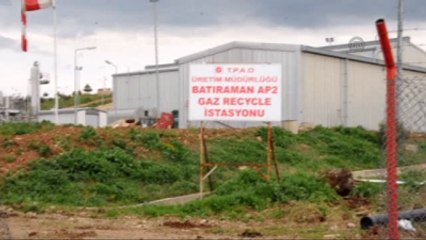 Atık Petrol Sahasına Düşen Köpekler Kurtarılmayı Bekliyor