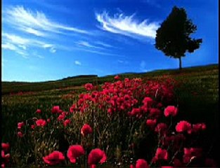 Franco Fasano   E Quel Giorno Non Mi Perderai Più