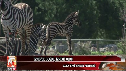 İzmir’de doğdu, İzmirli oldu